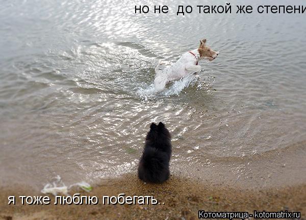 Котоматрица: я тоже люблю побегать..  но не  до такой же степени