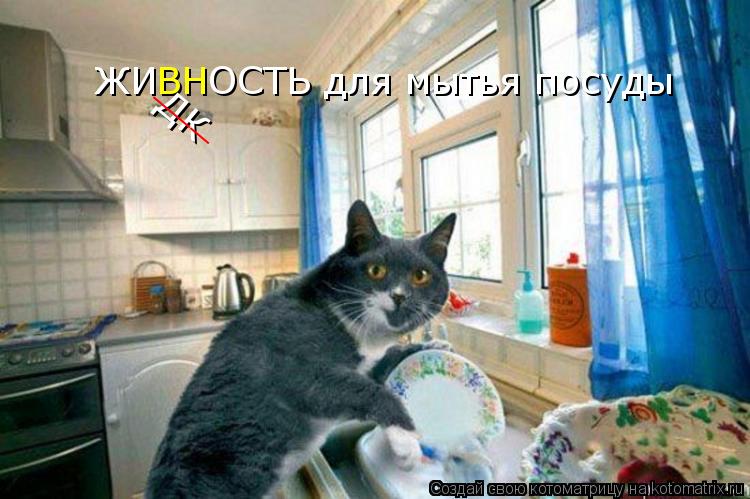 Котоматрица: ЖИ ВН ОСТЬ для мытья посуды ДК ___