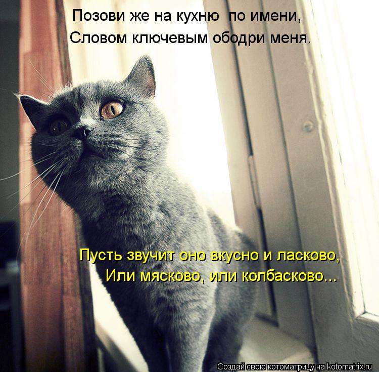 Позови же на кухню по имени, Словом ключевым ободри меня. Пусть звучит оно вкусно и ласково, Или мяс... Котоматрица: Позови же на кухню по имени, Словом ключевым ободри меня. Пусть звучит оно вкусно и ласково, Или мясково, или колбасково...