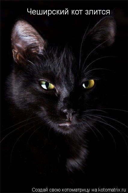 Котоматрица: Чеширский кот злится