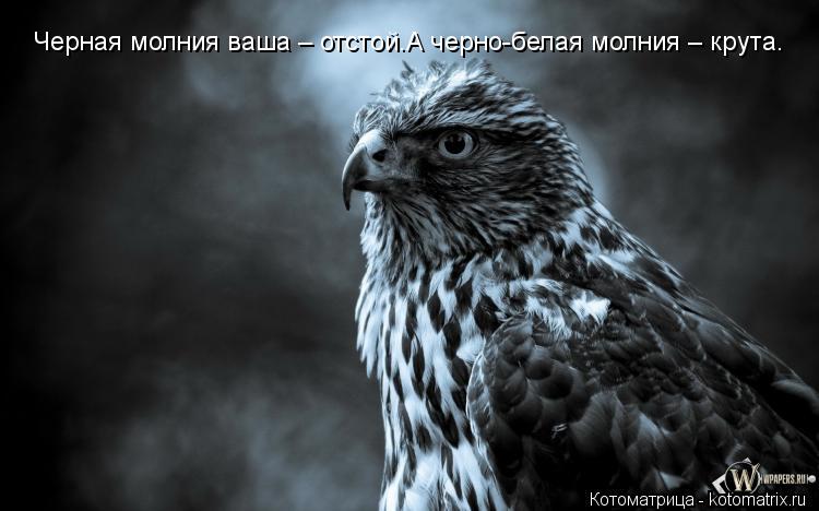Котоматрица: Черная молния ваша – отстой.А черно-белая молния – крута.
