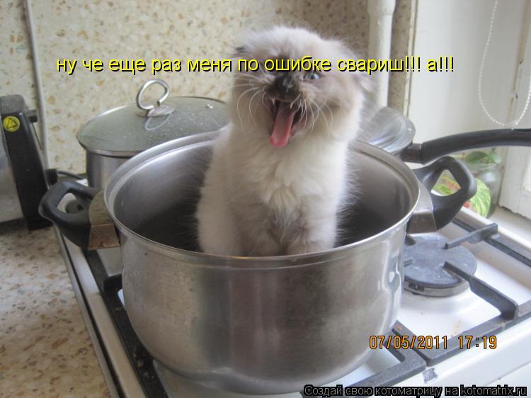 Котоматрица: ну че еще раз меня по ошибке свариш!!! а!!!