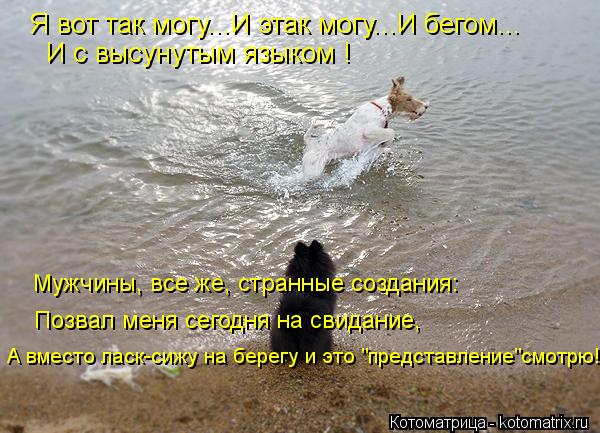 Котоматрица: Я вот так могу...И этак могу...И бегом... И с высунутым языком ! Мужчины, все же, странные создания: Позвал меня сегодня на свидание, А вместо лас