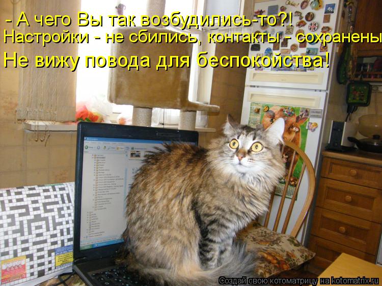 - А чего Вы так возбудились-то?! Настройки - не сбились, контакты - сохранены! Не вижу повода для бес... Котоматрица: - А чего Вы так возбудились-то?! Настройки - не сбились, контакты - сохранены! Не вижу повода для беспокойства!