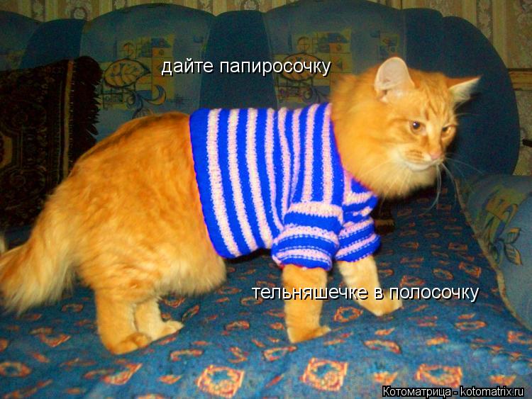 Котоматрица: дайте папиросочку тельняшечке в полосочку