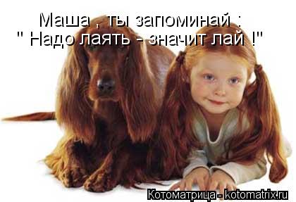 Котоматрица: Маша , ты запоминай :  " Надо лаять - значит лай !"