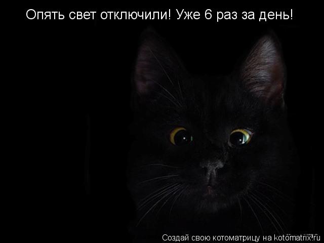 Котоматрица: Опять свет отключили! Уже 6 раз за день!