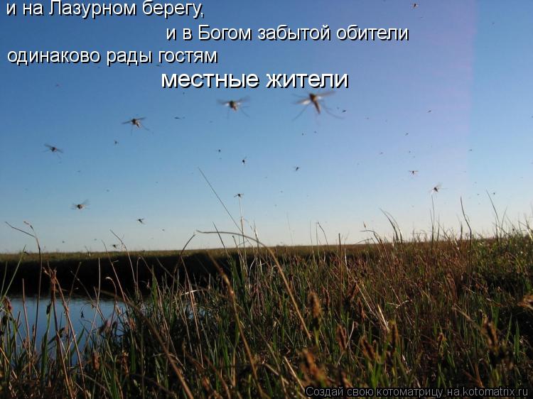 местные жители и в Богом забытой обители одинаково рады гостям и на Лазурном берегу,... Котоматрица: местные жители и в Богом забытой обители одинаково рады гостям и на Лазурном берегу,