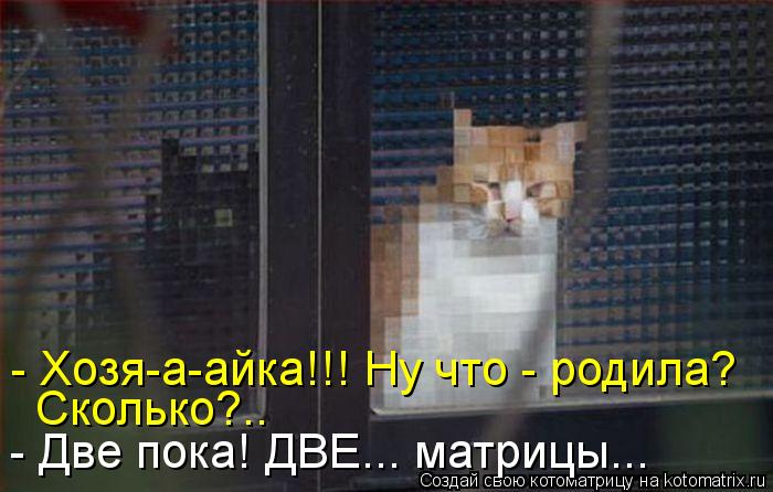 - Хозя-а-айка!!! Ну что - родила? Сколько?.. - Две пока! ДВЕ... матрицы...... Котоматрица: - Хозя-а-айка!!! Ну что - родила? Сколько?.. - Две пока! ДВЕ... матрицы...