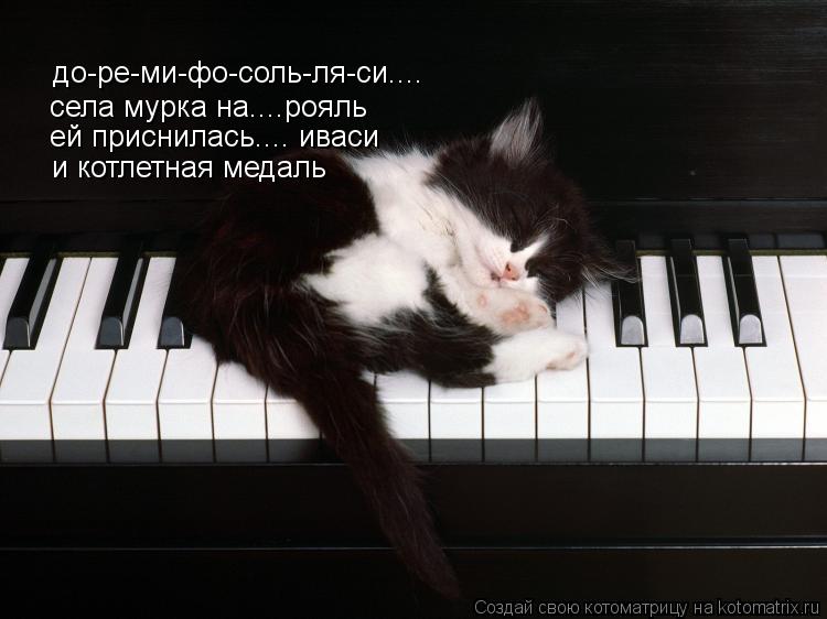 Котоматрица: до-ре-ми-фо-соль-ля-си.... села мурка на....рояль ей приснилась.... иваси и котлетная медаль