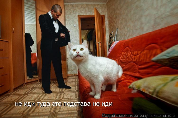 не иди туда это подстава не иди... Котоматрица: не иди туда это подстава не иди