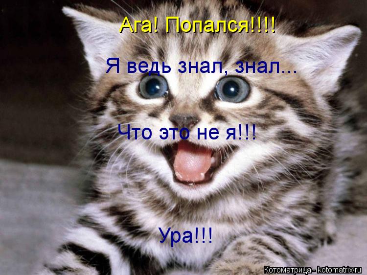 Ага! Попался!!!! Я ведь знал, знал... Что это не я!!! Ура!!!... Котоматрица: Ага! Попался!!!! Я ведь знал, знал... Что это не я!!! Ура!!!