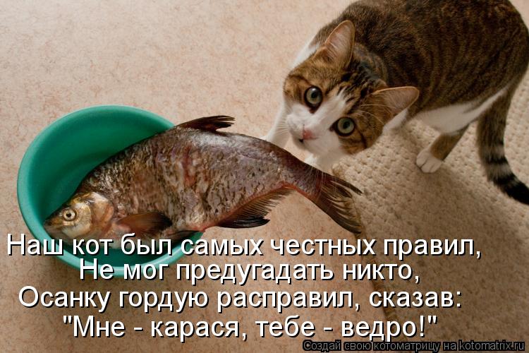 Не мог предугадать никто, Осанку гордую расправил, сказав: "Мне - карася, тебе - ведро!" Наш кот был ... Котоматрица: Не мог предугадать никто, Осанку гордую расправил, сказав: "Мне - карася, тебе - ведро!" Наш кот был самых честных правил,