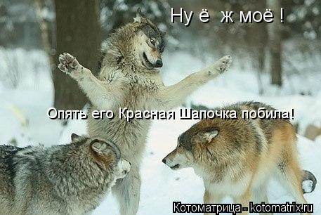 Котоматрица: Ну ё  ж моё ! Опять его Красная Шапочка побила!