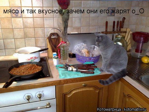 мясо и так вкусное, зачем они его жарят о_О... Котоматрица: мясо и так вкусное, зачем они его жарят о_О