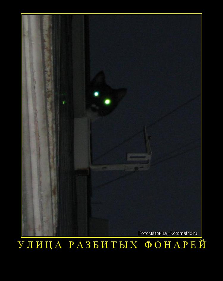 УЛИЦА РАЗБИТЫХ ФОНАРЕЙ ... Котоматрица: УЛИЦА РАЗБИТЫХ ФОНАРЕЙ