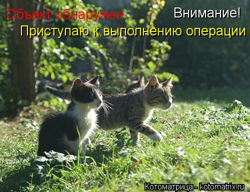 Внимание! Объект обнаружен Приступаю к выполнению операции... Котоматрица: Внимание! Объект обнаружен Приступаю к выполнению операции