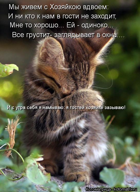 Мы живем с Хозяйкою вдвоем: И ни кто к нам в гости не заходит, Мне то хорошо... Ей - одиноко... Все г... Котоматрица: Мы живем с Хозяйкою вдвоем: И ни кто к нам в гости не заходит, Мне то хорошо... Ей - одиноко... Все грустит- заглядывает в окна.... И с утра себя я н