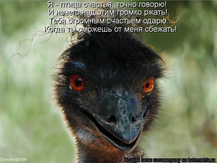 Я - птица счастья, точно говорю! И нечего над этим громко ржать! Тебя огромным счастьем одарю... Когд... Котоматрица: Я - птица счастья, точно говорю! И нечего над этим громко ржать! Тебя огромным счастьем одарю... Когда ты сможешь от меня сбежать!