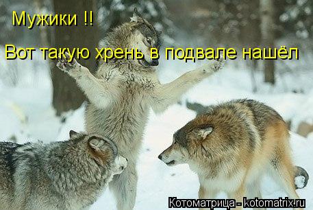 Мужики !! Вот такую хрень в подвале нашёл... Котоматрица: Мужики !! Вот такую хрень в подвале нашёл