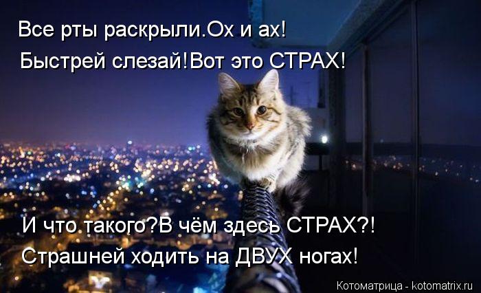 Все рты раскрыли.Ох и ах! Быстрей слезай!Вот это СТРАХ! И что такого?В чём здесь СТРАХ?! Страшней ход... Котоматрица: Все рты раскрыли.Ох и ах! Быстрей слезай!Вот это СТРАХ! И что такого?В чём здесь СТРАХ?! Страшней ходить на ДВУХ ногах!