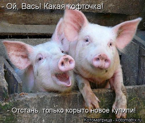 - Ой, Вась! Какая кофточка! - Отстань, только корыто новое купили!... Котоматрица: - Ой, Вась! Какая кофточка! - Отстань, только корыто новое купили!