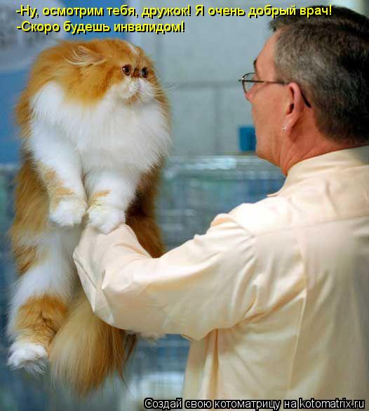Котоматрица: -Ну, осмотрим тебя, дружок! Я очень добрый врач! -Скоро будешь инвалидом!