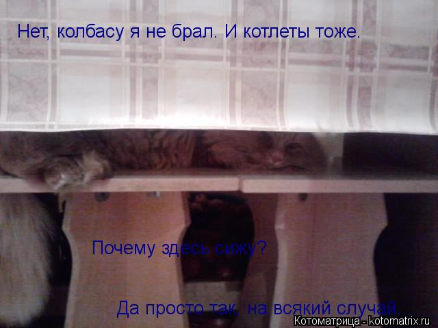 Нет, колбасу я не брал. И котлеты тоже. Почему здесь сижу? Да просто так, на всякий случай...... Котоматрица: Нет, колбасу я не брал. И котлеты тоже. Почему здесь сижу? Да просто так, на всякий случай...