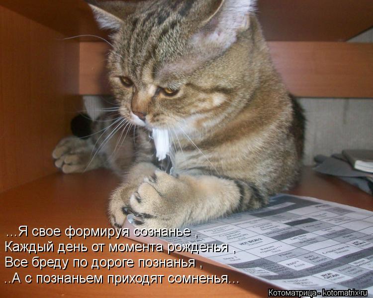 ...Я свое формируя сознанье , Каждый день от момента рожденья , Все бреду по дороге познанья , ..А с... Котоматрица: ...Я свое формируя сознанье , Каждый день от момента рожденья , Все бреду по дороге познанья , ..А с познаньем приходят сомненья...