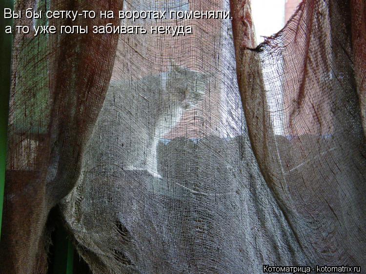Вы бы сетку-то на воротах поменяли, а то уже голы забивать некуда... Котоматрица: Вы бы сетку-то на воротах поменяли, а то уже голы забивать некуда