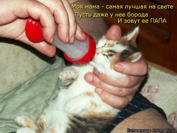 Котоматрица: Моя мама - самая лучшая на свете Пусть даже у нее борода И зовут ее ПАПА