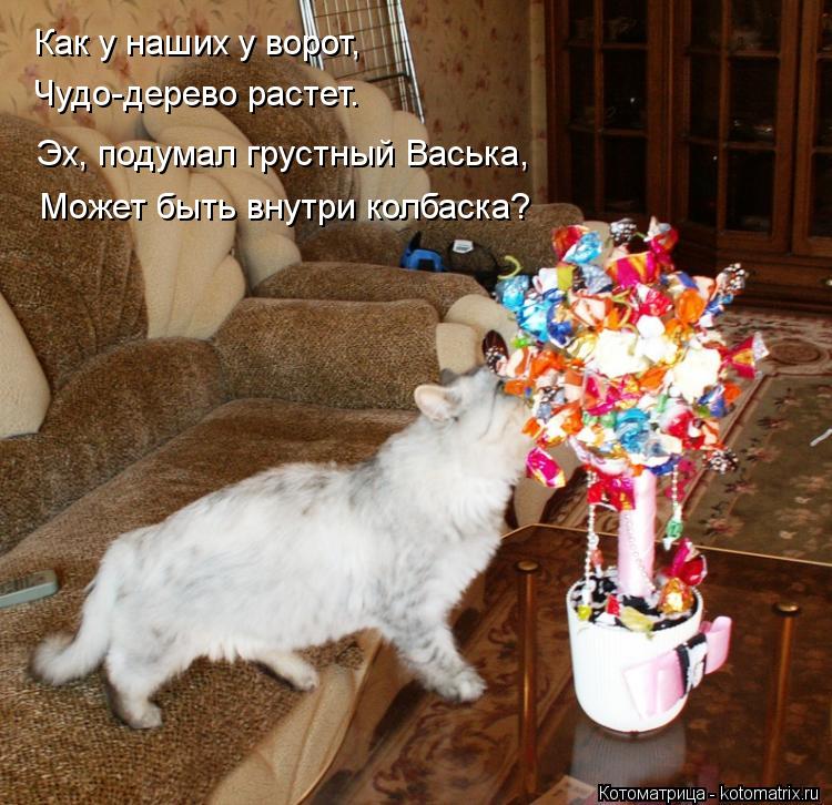 Котоматрица: Как у наших у ворот, Чудо-дерево растет. Эх, подумал грустный Васька, Может быть внутри колбаска?