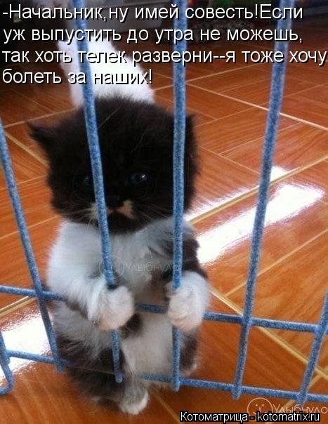 Котоматрица: -Начальник,ну имей совесть!Если  уж выпустить до утра не можешь, так хоть телек разверни--я тоже хочу болеть за наших!