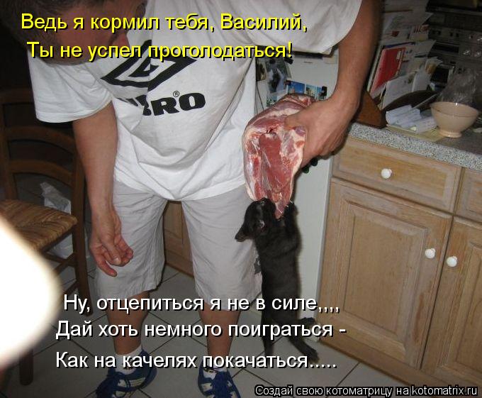 Ведь я кормил тебя, Василий, Ты не успел проголодаться! Ну, отцепиться я не в силе,,,, Дай хоть немно... Котоматрица: Ведь я кормил тебя, Василий, Ты не успел проголодаться! Ну, отцепиться я не в силе,,,, Дай хоть немного поиграться - Как на качелях покачаться...