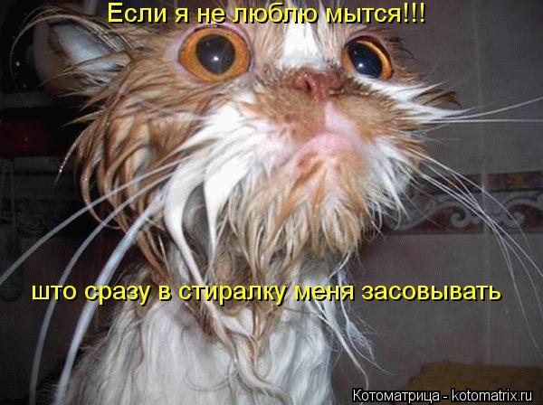 Если я не люблю мытся!!! што сразу в стиралку меня засовывать... Котоматрица: Если я не люблю мытся!!! што сразу в стиралку меня засовывать