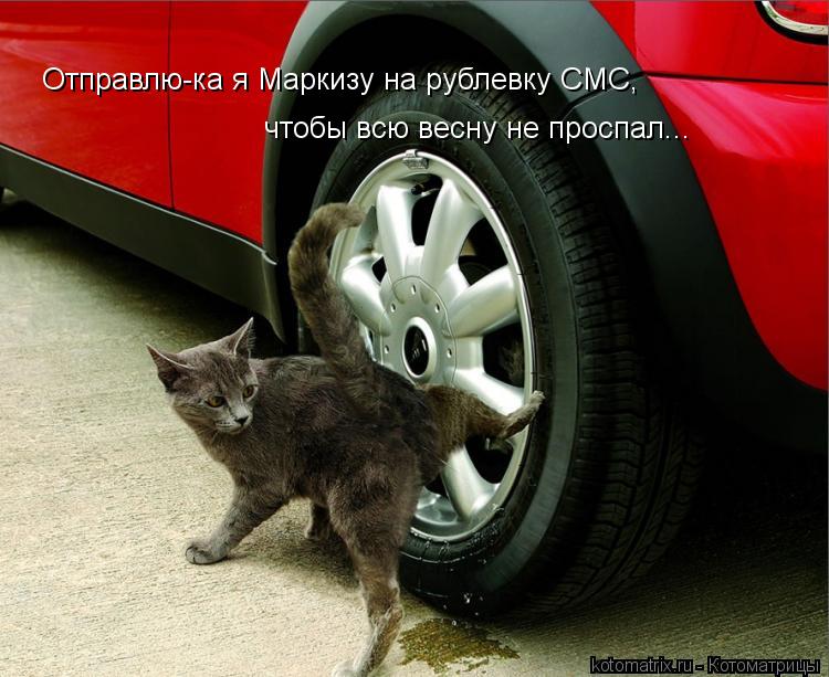 Отправлю-ка я Маркизу на рублевку СМС, чтобы всю весну не проспал...... Котоматрица: Отправлю-ка я Маркизу на рублевку СМС, чтобы всю весну не проспал...