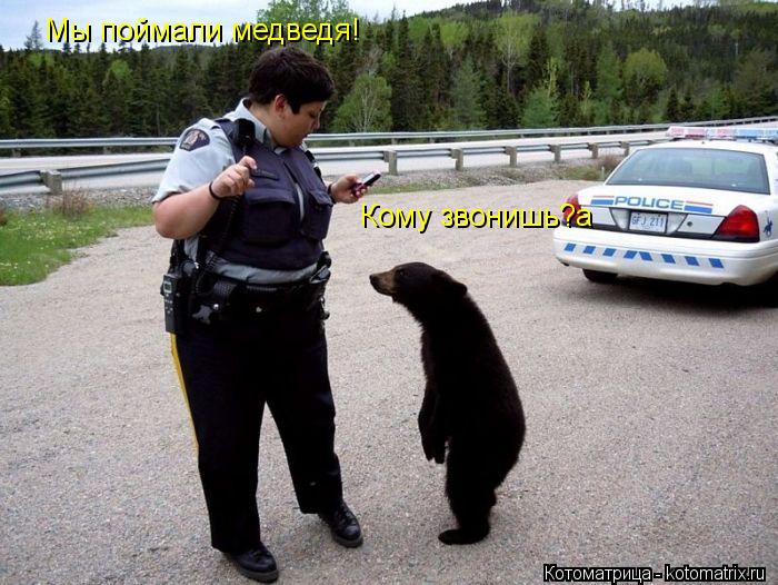 Мы поймали медведя! Кому звонишь?a... Котоматрица: Мы поймали медведя! Кому звонишь?a