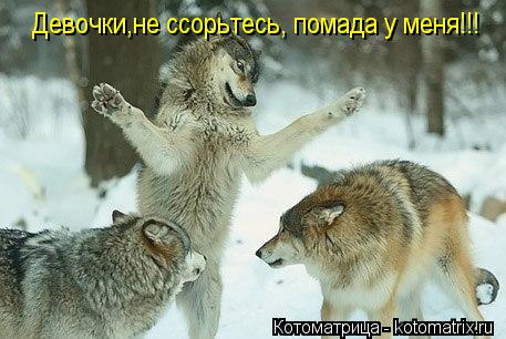 Котоматрица: Девочки,не ссорьтесь, помада у меня!!!