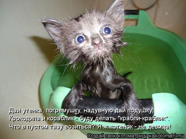 Котоматрица: Дай утенка, погремушку, надувную дай подушку, Крокодила и кораблик - буду делать *крабли-краблик*. Что в пустом тазу возиться? Я ж котенок - не 