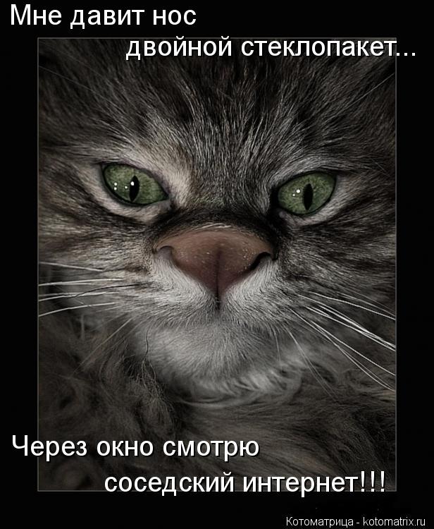 Мне давит нос двойной стеклопакет... Через окно смотрю соседский интернет!!!... Котоматрица: Мне давит нос двойной стеклопакет... Через окно смотрю соседский интернет!!!