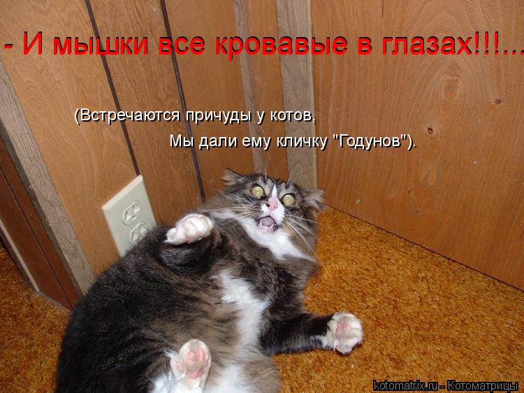 Котоматрица: (Встречаются причуды у котов, Мы дали ему кличку "Годунов"). - И мышки все кровавые в глазах!!!... - И мышки все кровавые в глазах!!!...