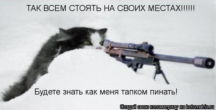 Котоматрица: ТАК ВСЕМ СТОЯТЬ НА СВОИХ МЕСТАХ!!!!!! Будете знать как меня тапком пинать!