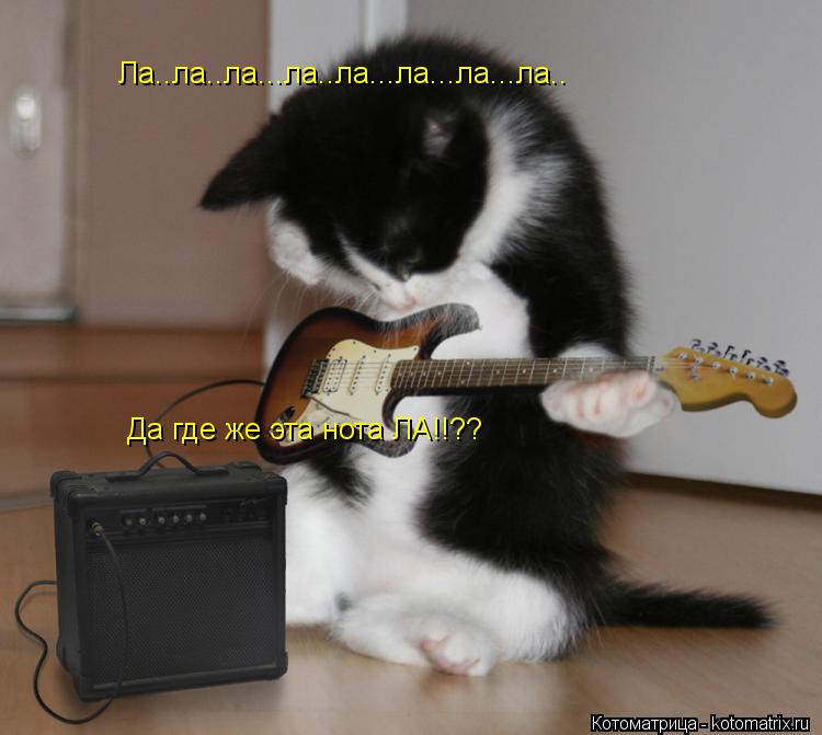 Ла..ла..ла...ла..ла...ла...ла...ла.. Да где же эта нота ЛА!!??... Котоматрица: Ла..ла..ла...ла..ла...ла...ла...ла.. Да где же эта нота ЛА!!??