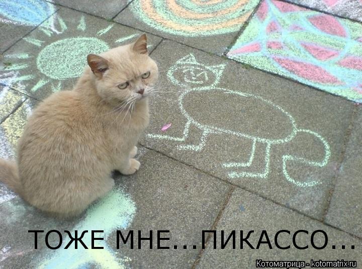 ТОЖЕ МНЕ...ПИКАССО...... Котоматрица: ТОЖЕ МНЕ...ПИКАССО...
