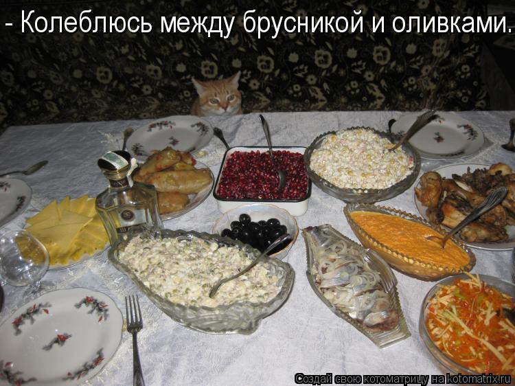 - Колеблюсь между брусникой и оливками...... Котоматрица: - Колеблюсь между брусникой и оливками...