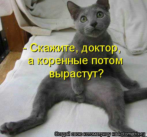 - Скажите, доктор, а коренные потом вырастут?... Котоматрица: - Скажите, доктор, а коренные потом вырастут?