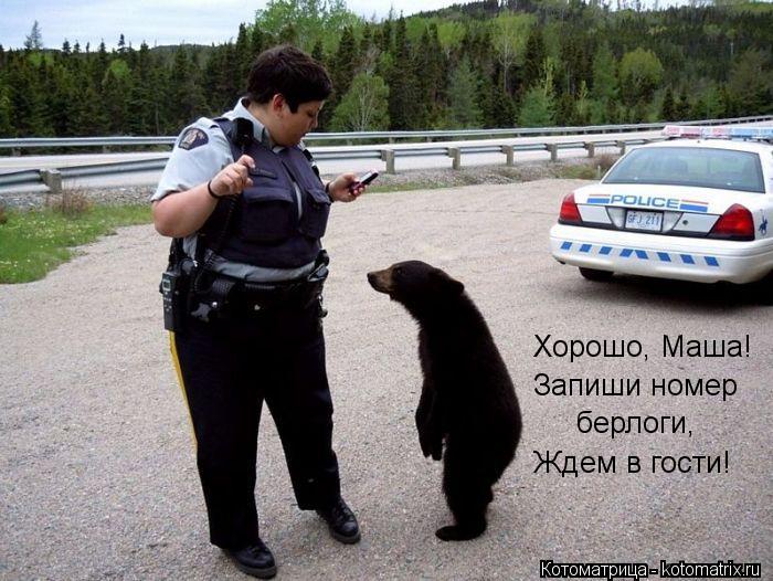 Котоматрица: Хорошо, Маша! Запиши номер берлоги, Ждем в гости!