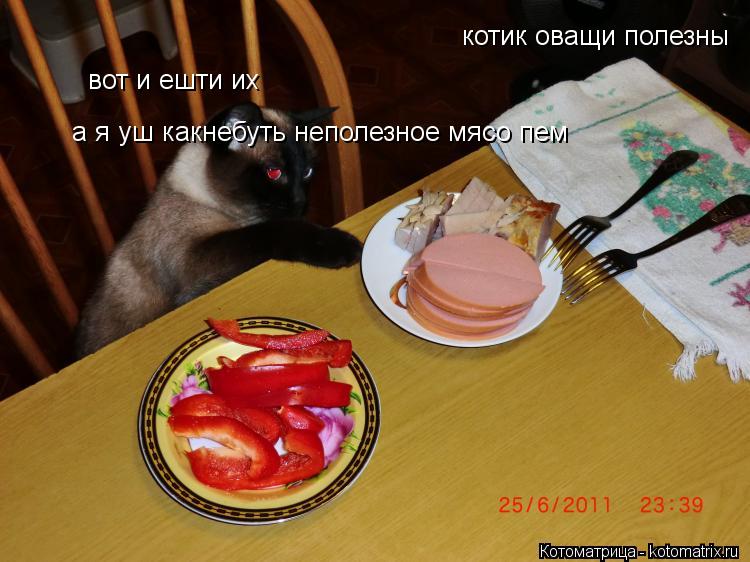 котик оващи полезны вот и ешти их а я уш какнебуть неполезное мясо пем а я уш какнебуть неполезное м... Котоматрица: котик оващи полезны вот и ешти их а я уш какнебуть неполезное мясо пем а я уш какнебуть неполезное мясо пем