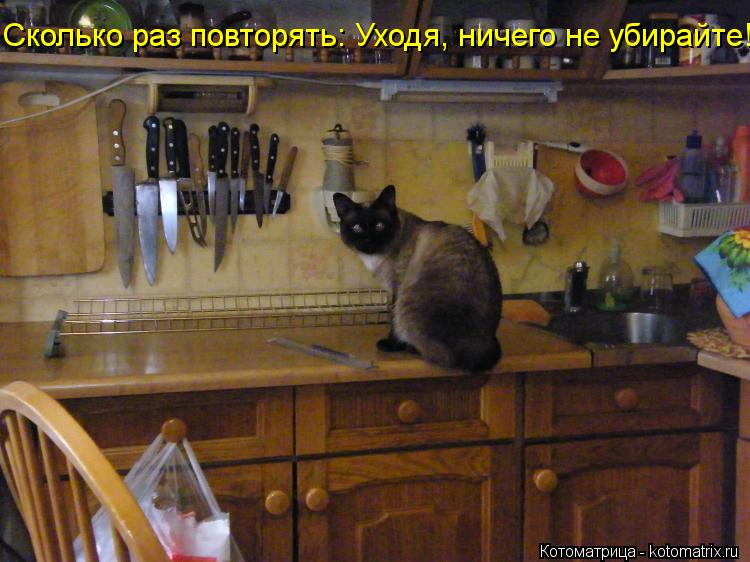 Сколько раз повторять: Уходя, ничего не убирайте!... Котоматрица: Сколько раз повторять: Уходя, ничего не убирайте!