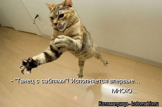 Котоматрица: - "Танец с саблями"! Исполняется впервые... МНОЮ...